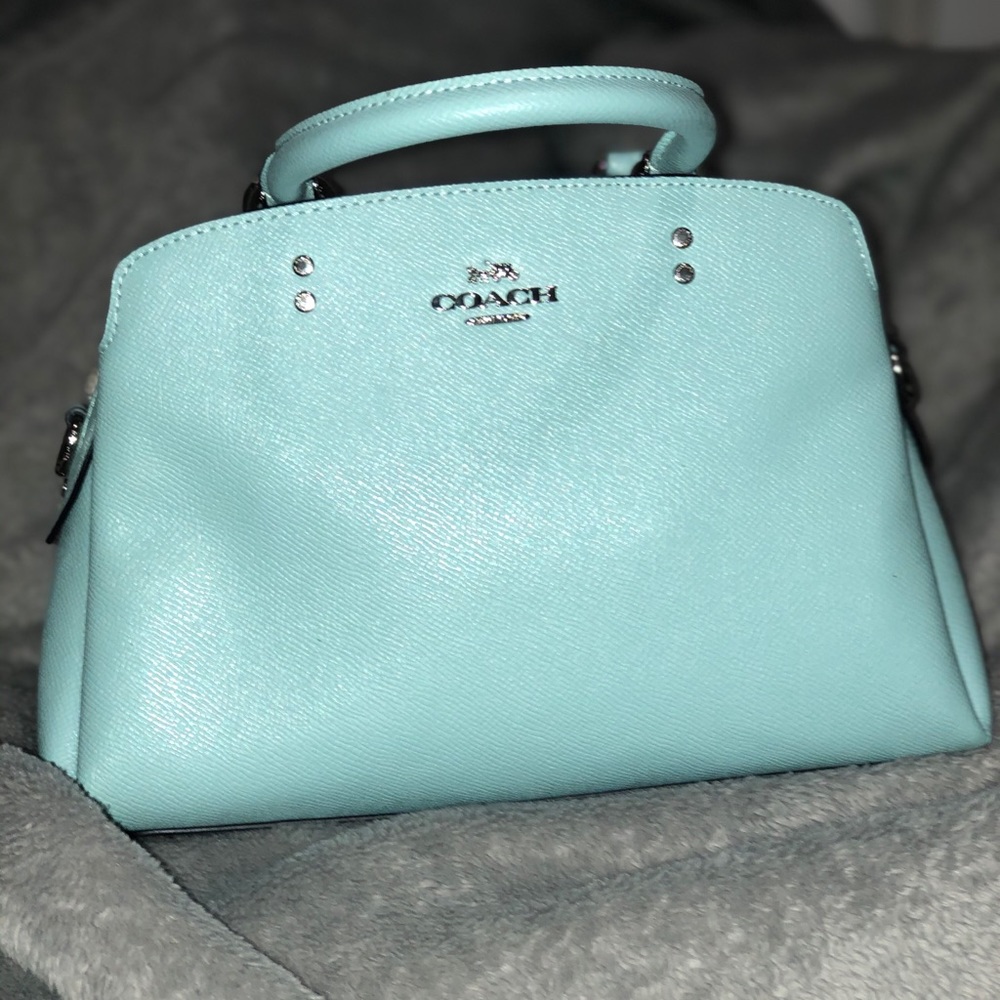 Coach mini Lilly carryall